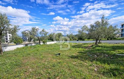 EZİNE GEYİKLİ BOZCAADA MANZARALI 4+1 MÜSTAKİL VİLLA