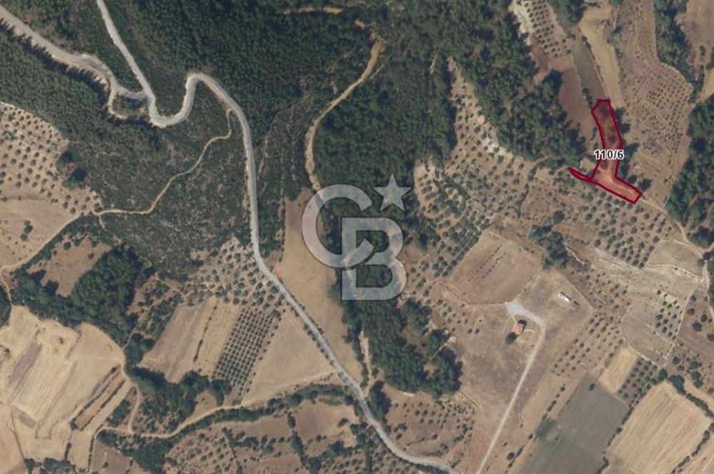 MUĞLA /MİLAS/ KARACAHİSAR MAH. 2828M² SATILIK ARSA