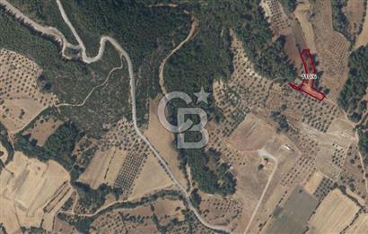 MUĞLA /MİLAS/ KARACAHİSAR MAH. 2828M² SATILIK ARSA