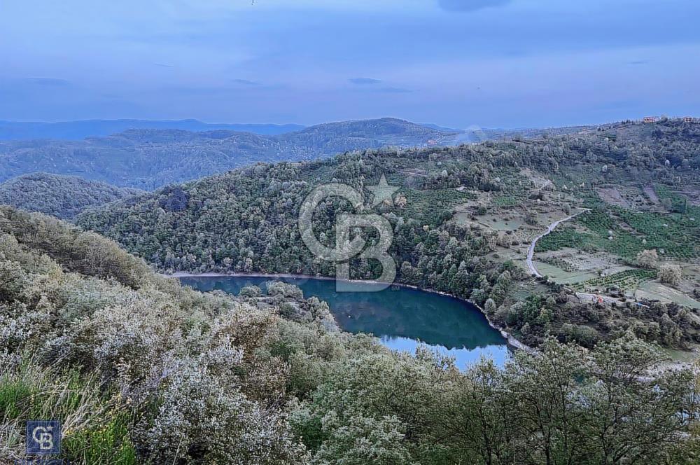 EREĞLİ RAMAZANLI KÖYÜNDE SATILIK 1428M2 TEK TAPULU TARLA