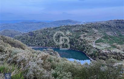 EREĞLİ RAMAZANLI KÖYÜNDE SATILIK 1428M2 TEK TAPULU TARLA