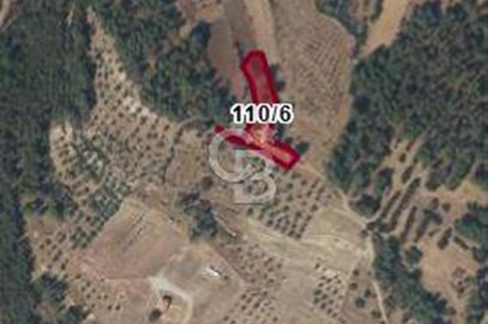 MUĞLA /MİLAS/ KARACAHİSAR MAH. 2828M² SATILIK ARSA