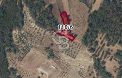 MUĞLA /MİLAS/ KARACAHİSAR MAH. 2828M² SATILIK ARSA