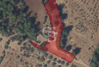 MUĞLA /MİLAS/ KARACAHİSAR MAH. 2828M² SATILIK ARSA - 2 - 342858