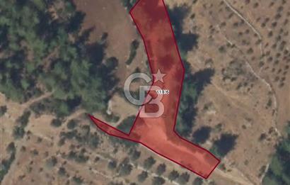 MUĞLA /MİLAS/ KARACAHİSAR MAH. 2828M² SATILIK ARSA