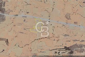 Girne Kozanköy'de Satılık Fırsat Arazi !!! - 8 - 342850