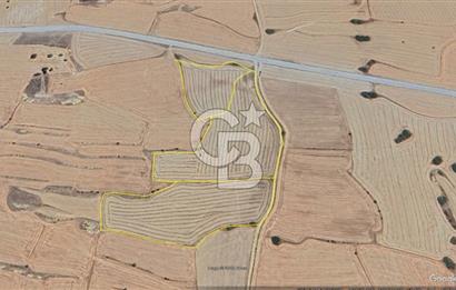 Girne Kozanköy'de Satılık Fırsat Arazi !!!