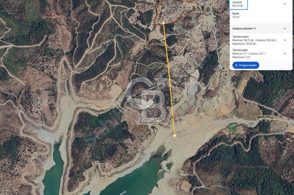 Seferihisar Beylerde 40.000 m2 Müstakil Tapulu Fırsat Zeytinlik