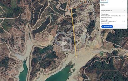 Seferihisar Beylerde 40.000 m2 Müstakil Tapulu Fırsat Zeytinlik