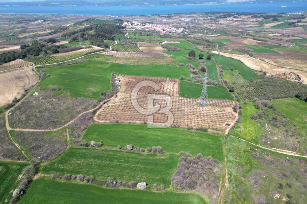 ÇANAKKALE MERKEZ KÖY YAPILDAK 8.788 M2 FIRSAT TARLA