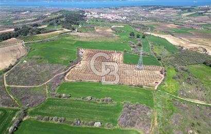 ÇANAKKALE MERKEZ KÖY YAPILDAK 8.788 M2 FIRSAT TARLA