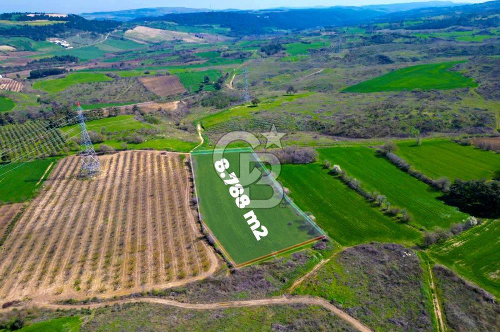 ÇANAKKALE MERKEZ KÖY YAPILDAK 8.788 M2 FIRSAT TARLA