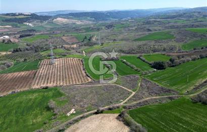 ÇANAKKALE MERKEZ KÖY YAPILDAK 8.788 M2 FIRSAT TARLA