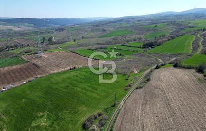 ÇANAKKALE MERKEZ KÖY YAPILDAK 8.788 M2 FIRSAT TARLA