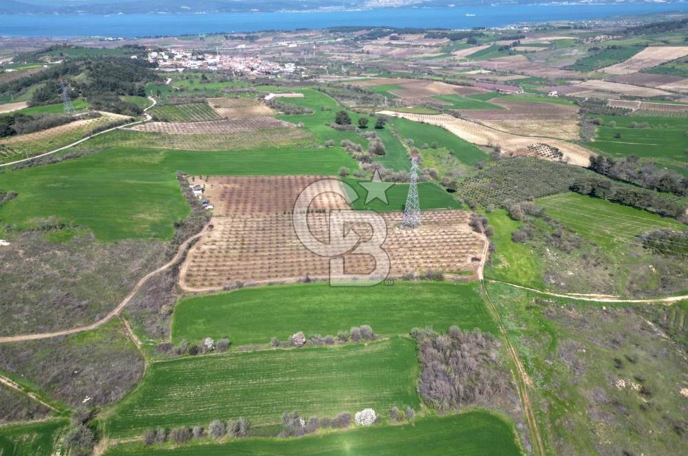 ÇANAKKALE MERKEZ KÖY YAPILDAK 8.788 M2 FIRSAT TARLA