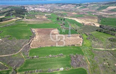 ÇANAKKALE MERKEZ KÖY YAPILDAK 8.788 M2 FIRSAT TARLA