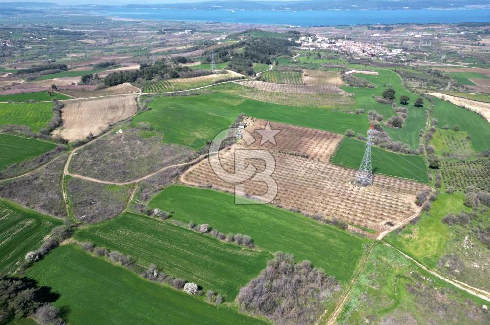 ÇANAKKALE MERKEZ KÖY YAPILDAK 8.788 M2 FIRSAT TARLA