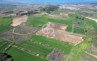 ÇANAKKALE MERKEZ KÖY YAPILDAK 8.788 M2 FIRSAT TARLA