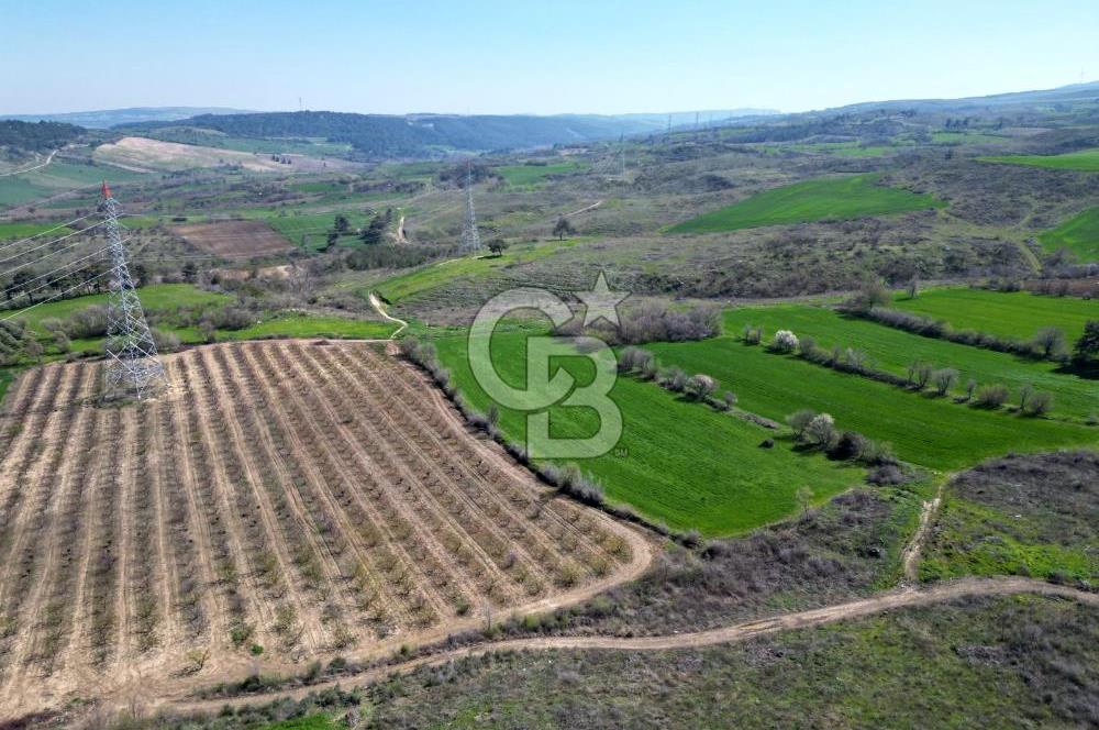 ÇANAKKALE MERKEZ KÖY YAPILDAK 8.788 M2 FIRSAT TARLA