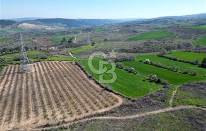ÇANAKKALE MERKEZ KÖY YAPILDAK 8.788 M2 FIRSAT TARLA