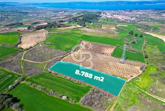 ÇANAKKALE MERKEZ KÖY YAPILDAK 8.788 M2 FIRSAT TARLA - 1 - 342862