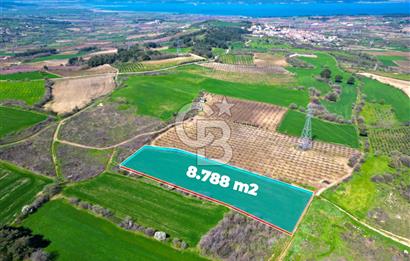 ÇANAKKALE MERKEZ KÖY YAPILDAK 8.788 M2 FIRSAT TARLA