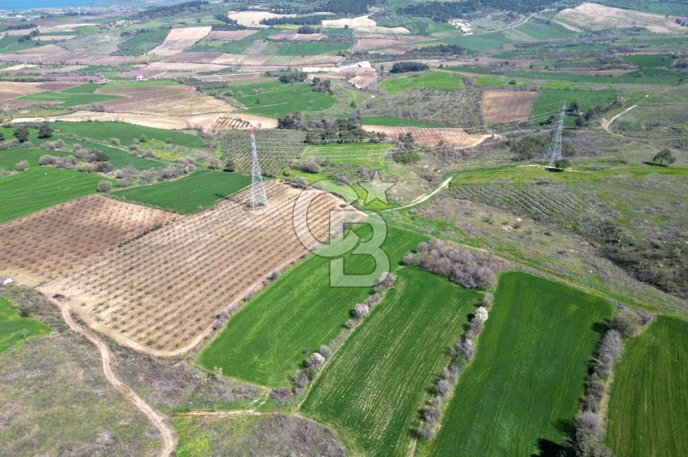 ÇANAKKALE MERKEZ KÖY YAPILDAK 8.788 M2 FIRSAT TARLA