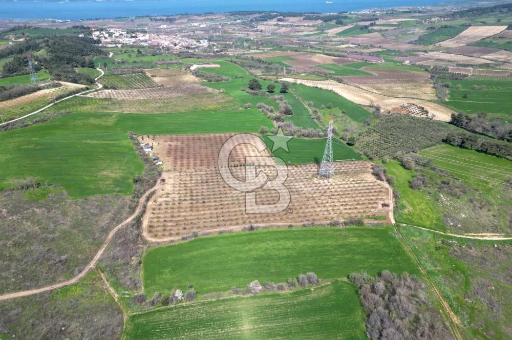 ÇANAKKALE MERKEZ KÖY YAPILDAK 8.788 M2 FIRSAT TARLA