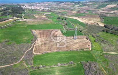 ÇANAKKALE MERKEZ KÖY YAPILDAK 8.788 M2 FIRSAT TARLA