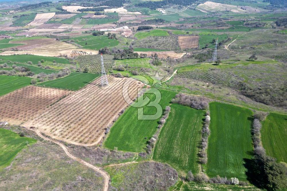 ÇANAKKALE MERKEZ KÖY YAPILDAK 8.788 M2 FIRSAT TARLA