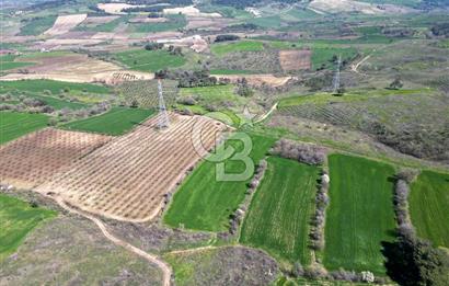ÇANAKKALE MERKEZ KÖY YAPILDAK 8.788 M2 FIRSAT TARLA