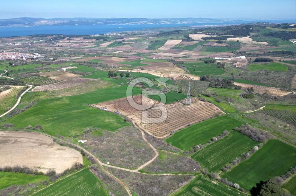 ÇANAKKALE MERKEZ KÖY YAPILDAK 8.788 M2 FIRSAT TARLA