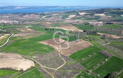 ÇANAKKALE MERKEZ KÖY YAPILDAK 8.788 M2 FIRSAT TARLA