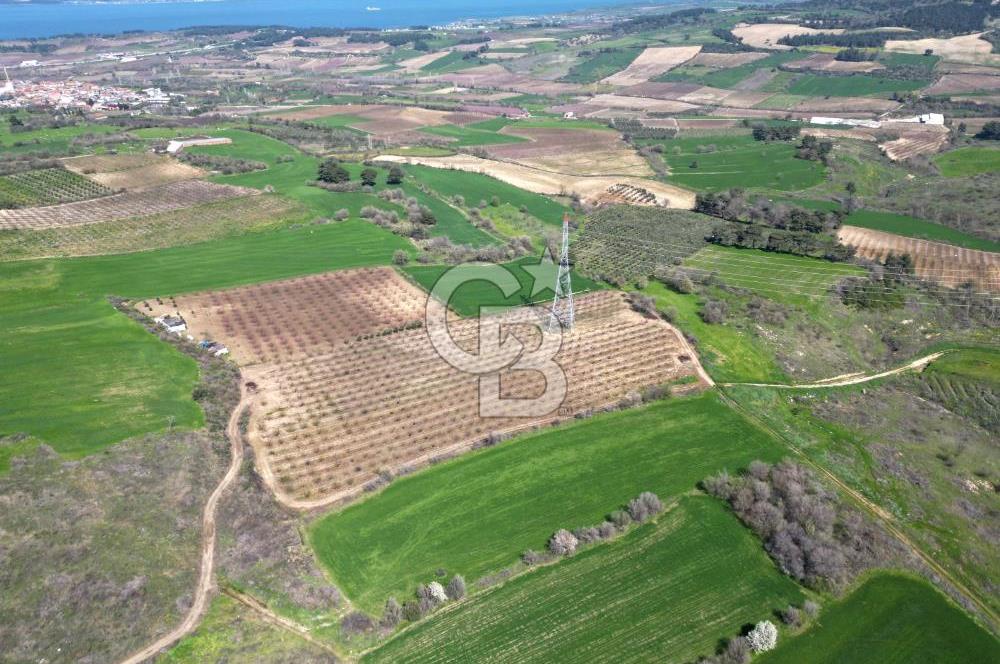 ÇANAKKALE MERKEZ KÖY YAPILDAK 8.788 M2 FIRSAT TARLA