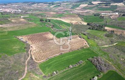 ÇANAKKALE MERKEZ KÖY YAPILDAK 8.788 M2 FIRSAT TARLA
