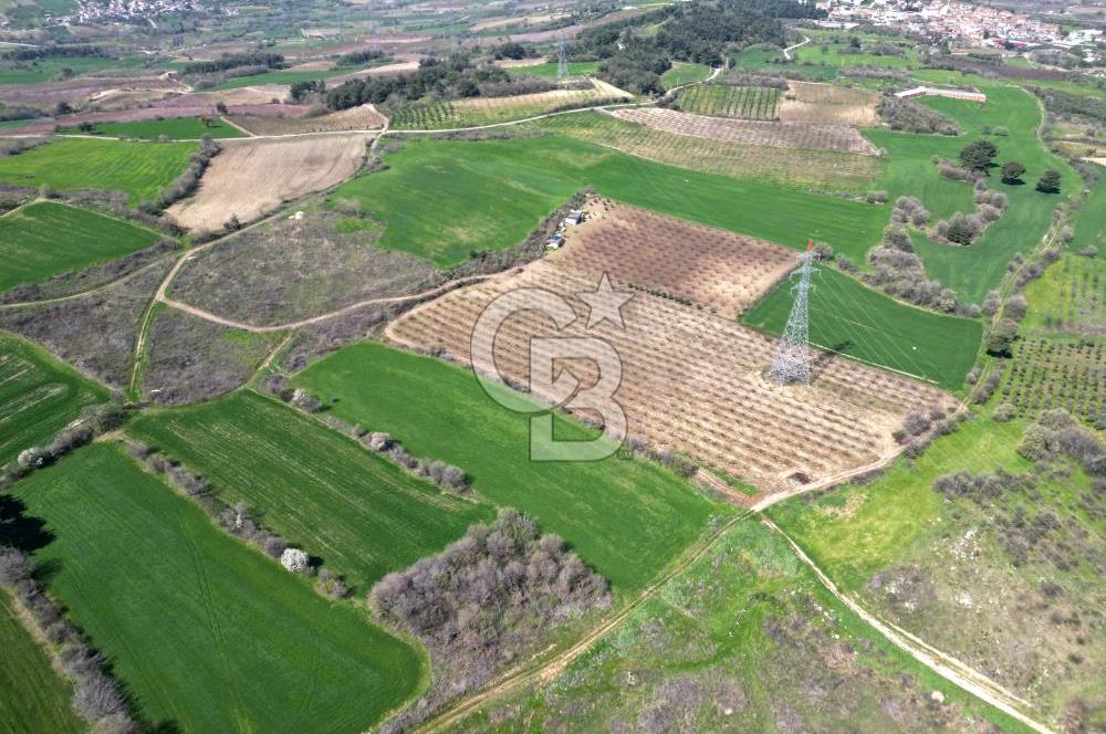 ÇANAKKALE MERKEZ KÖY YAPILDAK 8.788 M2 FIRSAT TARLA