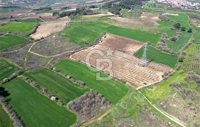 ÇANAKKALE MERKEZ KÖY YAPILDAK 8.788 M2 FIRSAT TARLA