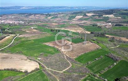 ÇANAKKALE MERKEZ KÖY YAPILDAK 8.788 M2 FIRSAT TARLA