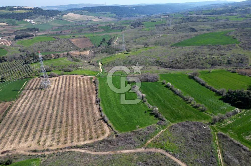 ÇANAKKALE MERKEZ KÖY YAPILDAK 8.788 M2 FIRSAT TARLA