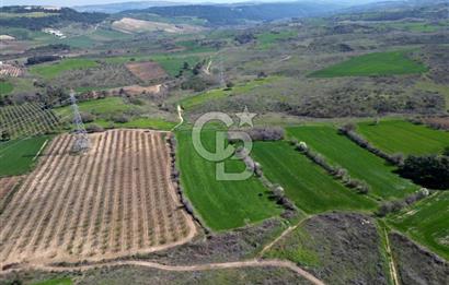 ÇANAKKALE MERKEZ KÖY YAPILDAK 8.788 M2 FIRSAT TARLA