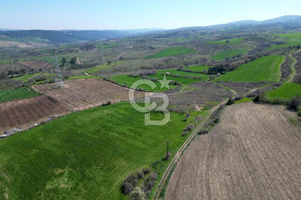 ÇANAKKALE MERKEZ KÖY YAPILDAK 8.788 M2 FIRSAT TARLA