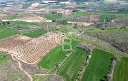 ÇANAKKALE MERKEZ KÖY YAPILDAK 8.788 M2 FIRSAT TARLA