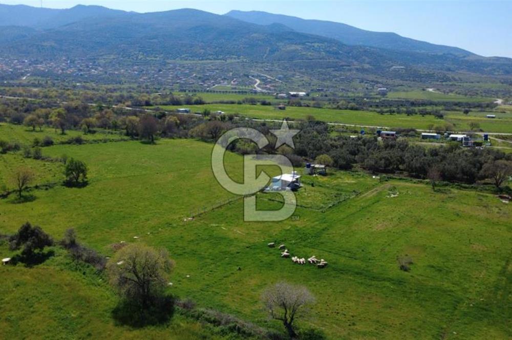 ALİAĞA ÇITAK MAHALLESİNDE 555 M² SATILIK HOBİ BAHÇESİ