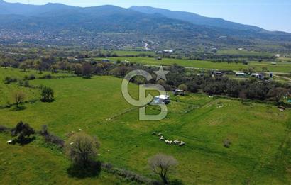 ALİAĞA ÇITAK MAHALLESİNDE 555 M² SATILIK HOBİ BAHÇESİ