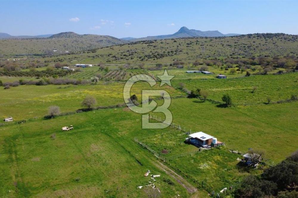 ALİAĞA ÇITAK MAHALLESİNDE 555 M² SATILIK HOBİ BAHÇESİ