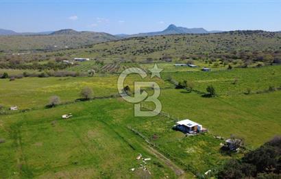 ALİAĞA ÇITAK MAHALLESİNDE 555 M² SATILIK HOBİ BAHÇESİ