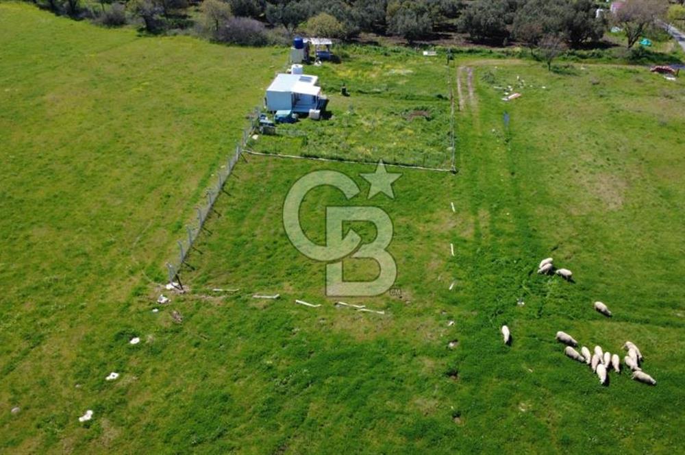 ALİAĞA ÇITAK MAHALLESİNDE 555 M² SATILIK HOBİ BAHÇESİ