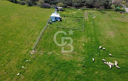 ALİAĞA ÇITAK MAHALLESİNDE 555 M² SATILIK HOBİ BAHÇESİ