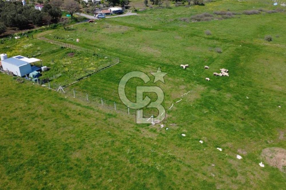 ALİAĞA ÇITAK MAHALLESİNDE 555 M² SATILIK HOBİ BAHÇESİ