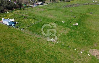 ALİAĞA ÇITAK MAHALLESİNDE 555 M² SATILIK HOBİ BAHÇESİ